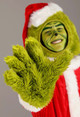 The Grinch Adult Santa Open Face Costume