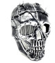 Steampunk Style Metallic Scary Horror Skeleton Mask for Halloween Costume Cosplay Party