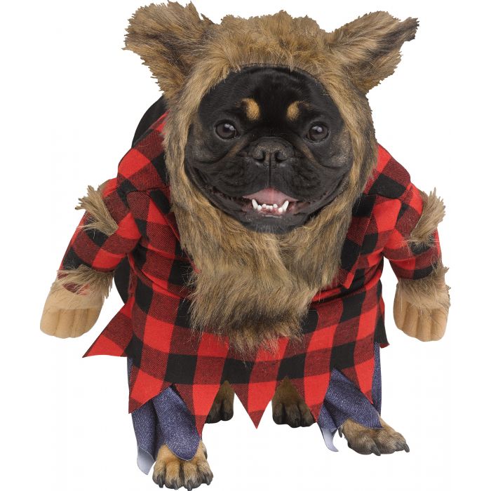 The 34 Best Halloween Costumes for Dogs of 2023