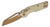 MSI Mini - S/E Frag Champagne Gold Standard