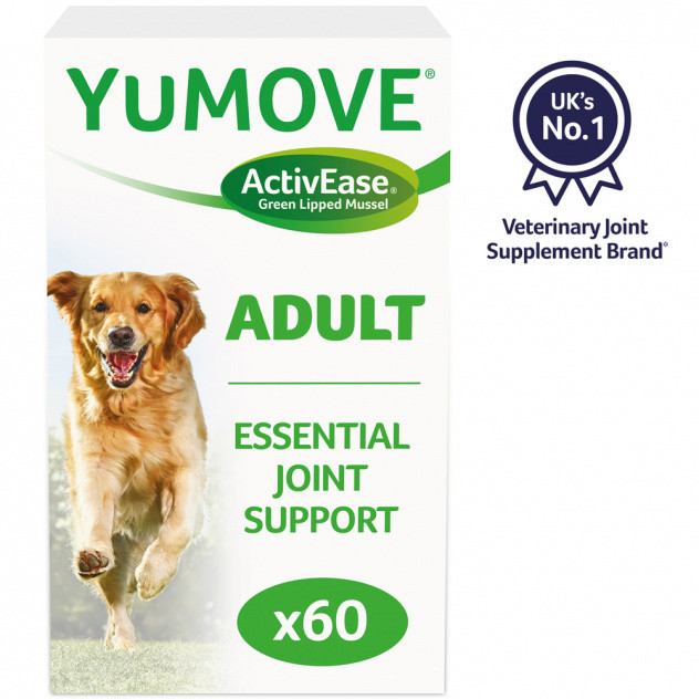 Joint Pain In Dogs & Cats