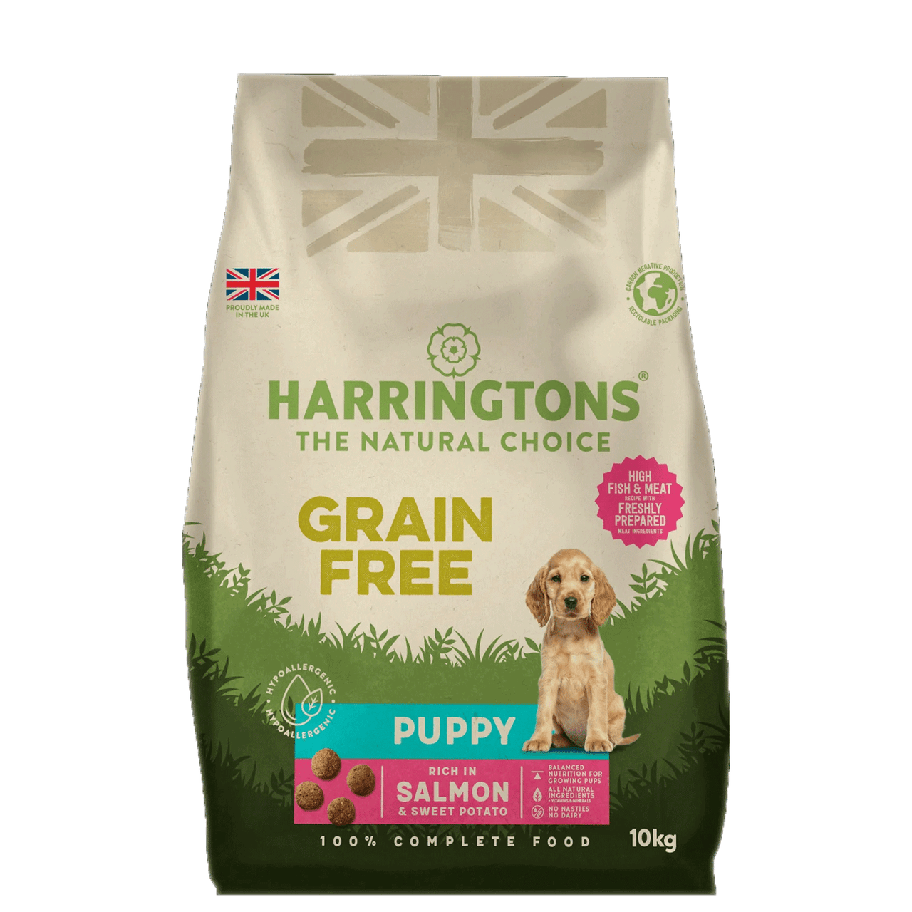 no grain puppy food