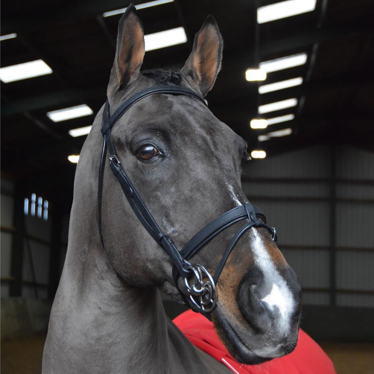John Whitaker Ready to Ride Snaffle Bridle Full Size Brown