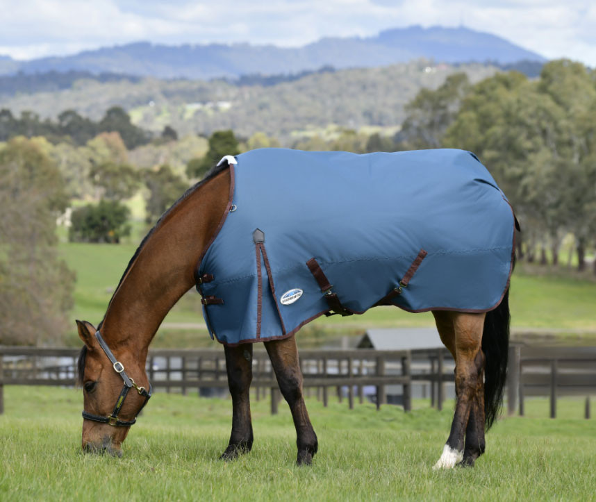 WEATHERBEETA COMFITEC CLASSIC STANDARD MEDIUM NECK LITE 100G LIGHT BLUE