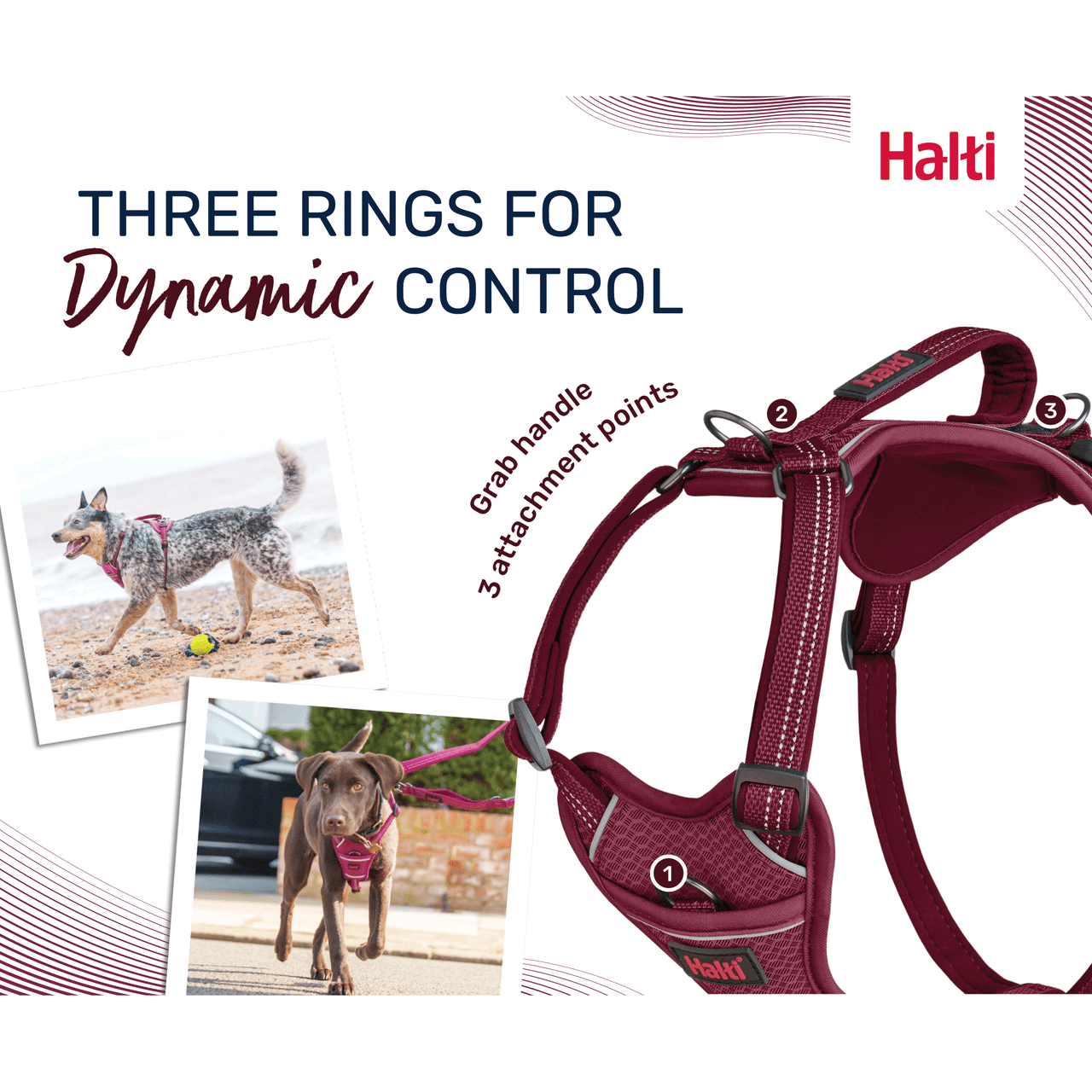 Halti Anatomy Harness Grey