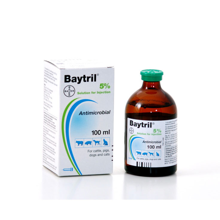 Baytril Injection POM