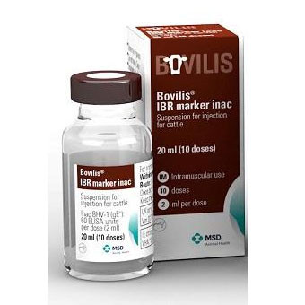 Bovilis IBR Marker inac, Suspension for injection POM