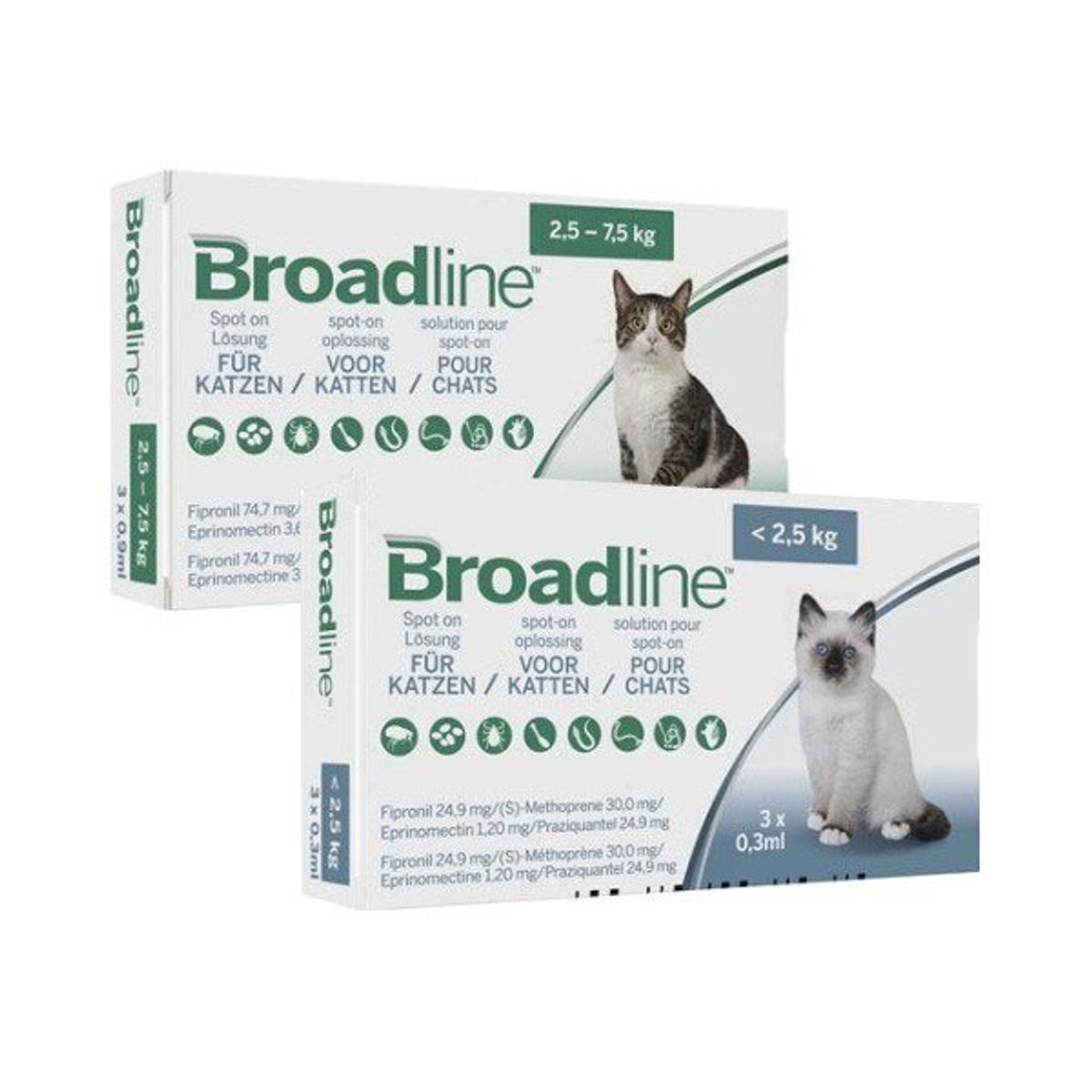 Broadline spot on sales large cat