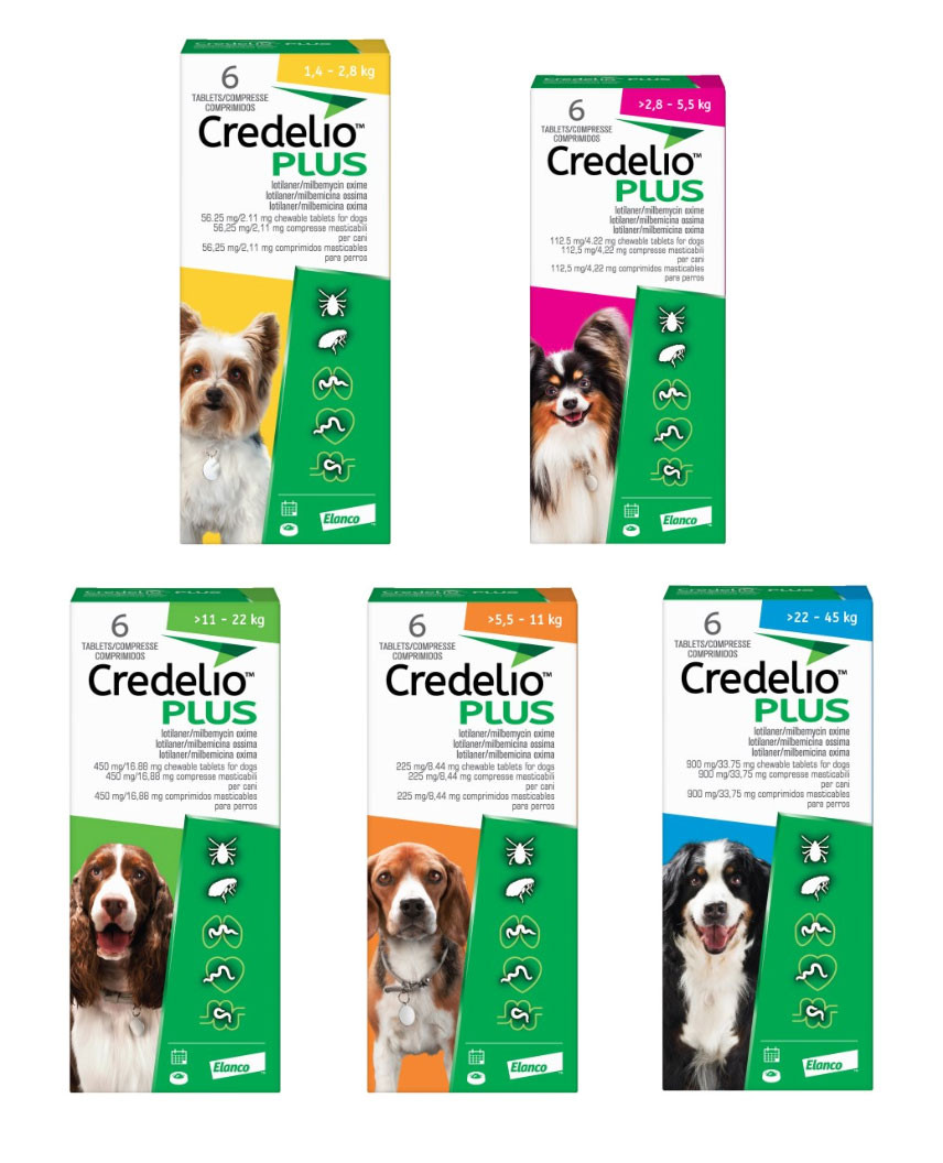 Credelio Plus Chewable Tablets For Dogs