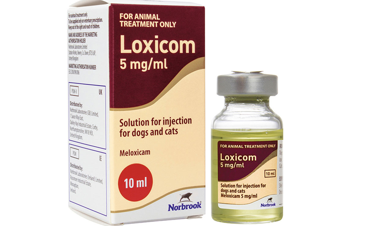 Loxicom 5mg/ml Solution for Injection For Dogs and Cats POM