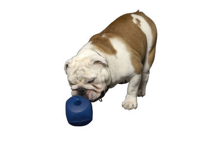 buster soft cube