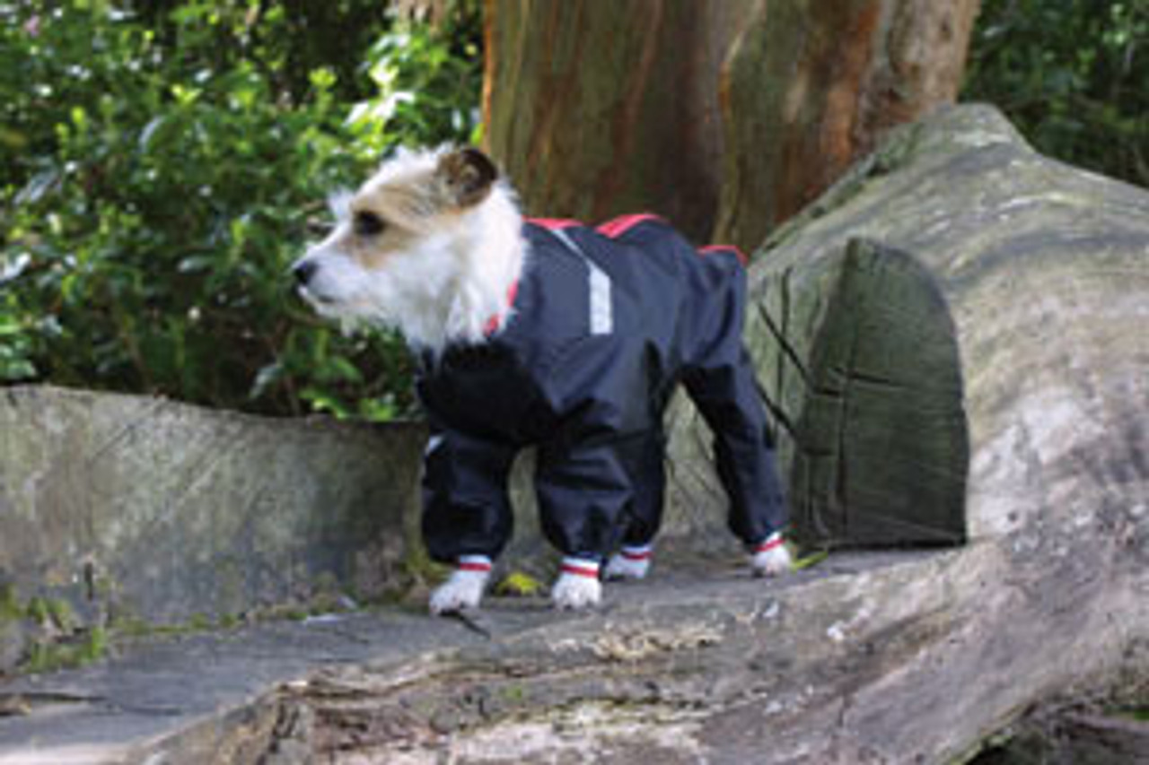 Show Tech Waterproof Pantsuits  Doggy Ding