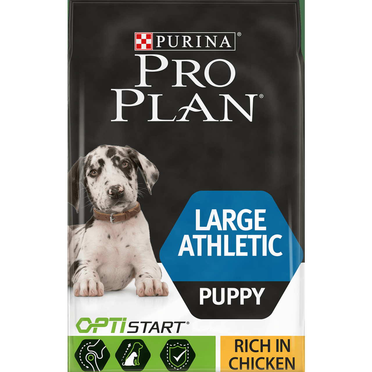 Plan puppy