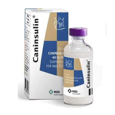 Caninsulin 40 IU/ml