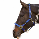 Horse Headcollars & Lead Reins