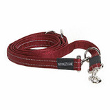 Training Leads & Equipment for Dogs