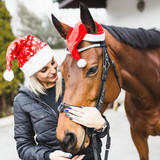 Horse Christmas Presents