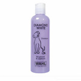 Shampoo For Cats