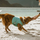 Cooling Coats & Vests