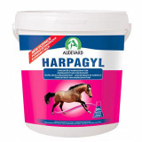 Performance Supplements for Horses