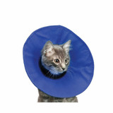 Surgical Collars & Body Suits for cats