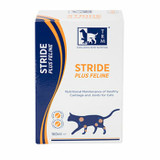 Joint and Mobility Supplements for Cats