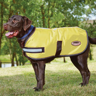 How to Measure Your Dog for a Coat: A Step-by-Step Guide | Hyperdrug