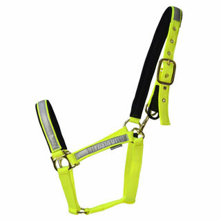 Reflective Horse Gear Hi Viz Horse Wear & Clothing Hyperdrug