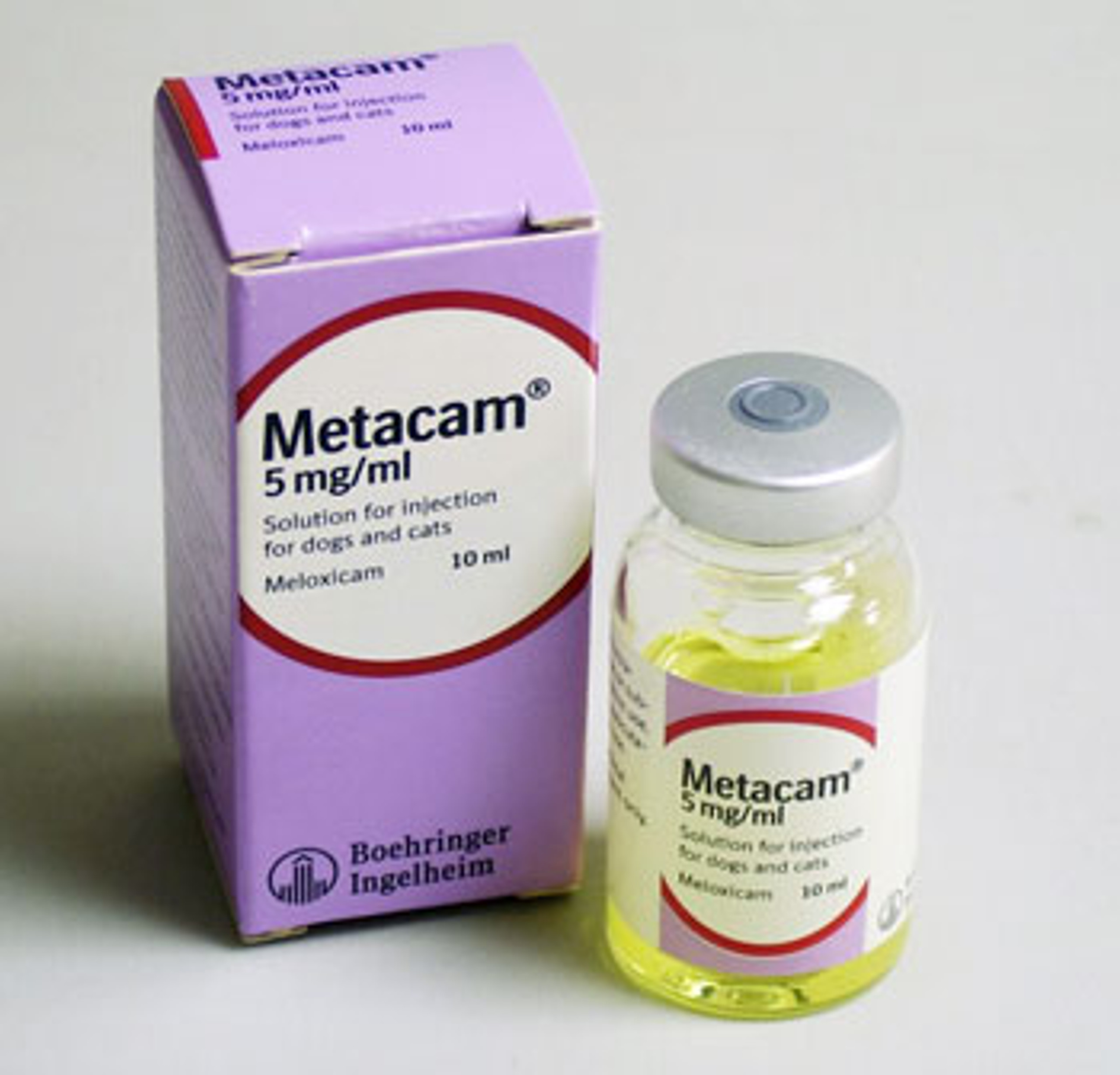 Metacam 5mg/ml Solution for Injection for Dogs and Cats POM