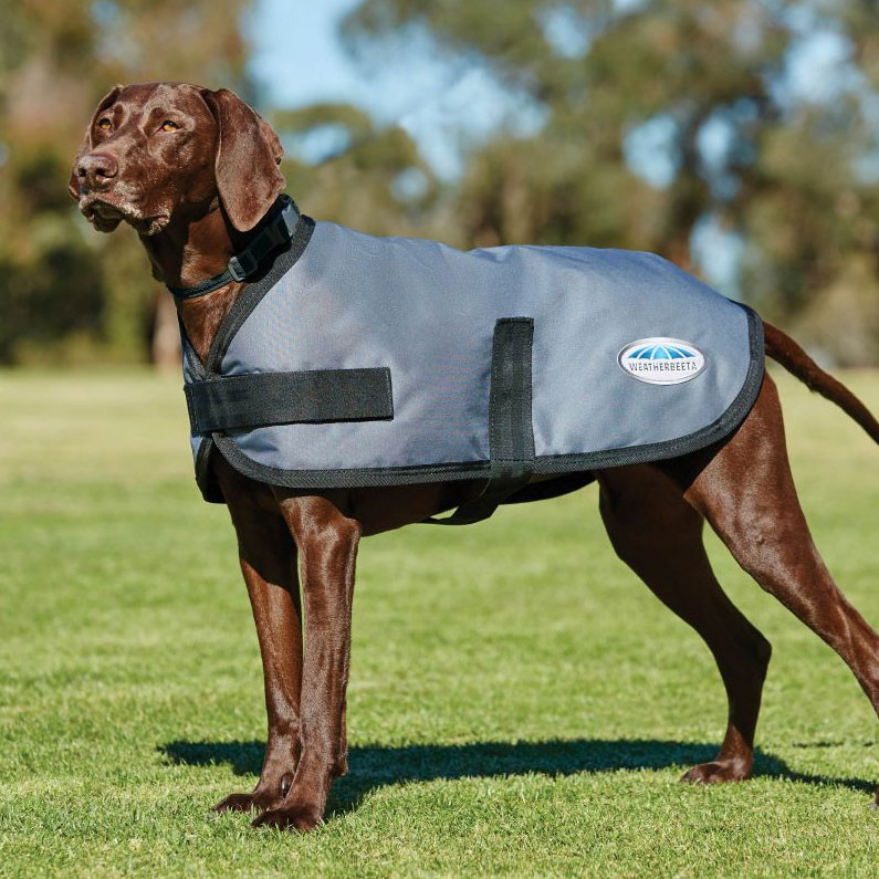 WeatherBeeta ComFiTec Classic Dog Coat Grey