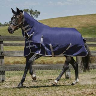 Equine Horse Rugs for Sale Rugs for Horses Hyperdrug