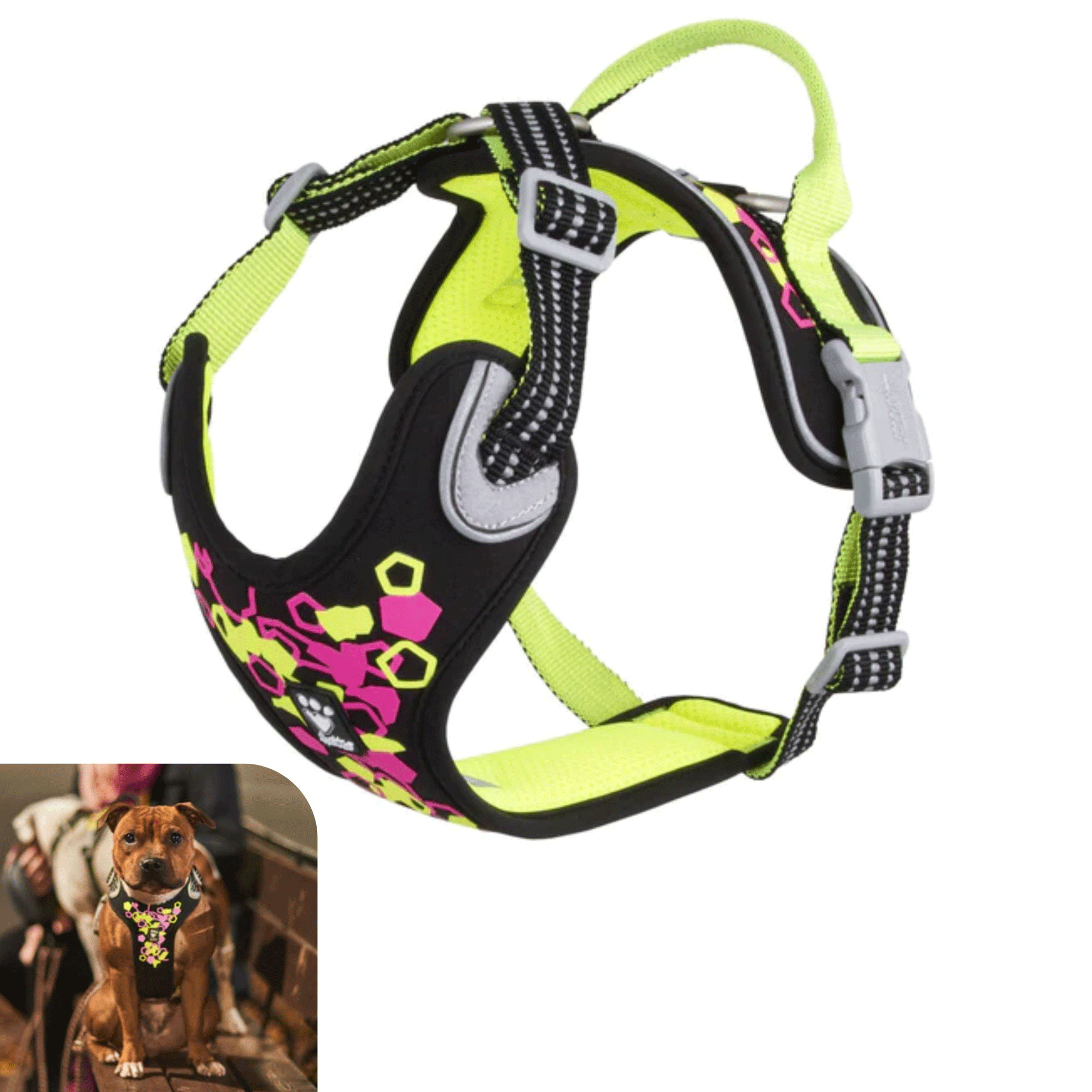 Hurtta Weekend Warrior Harness - Neon Licorice