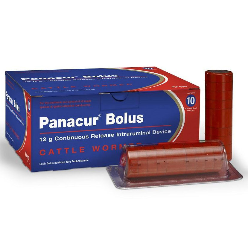 Panacur Bolus 12g (pack of 10)