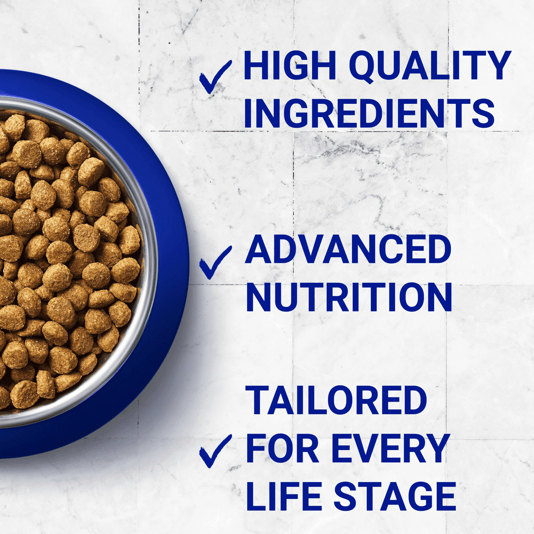 Purina ONE Adult Cat Mini Fillets in Gravy