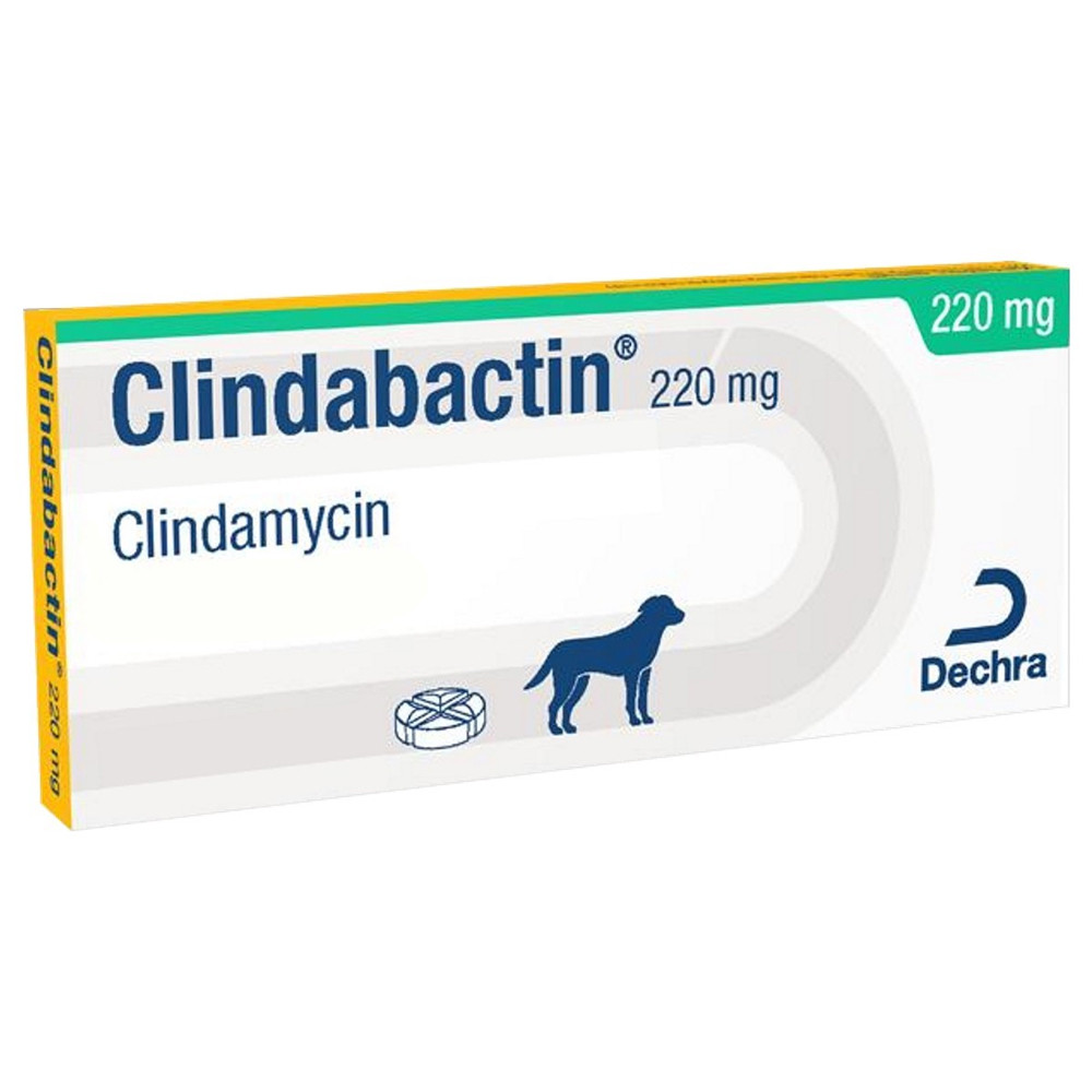 Clindabactin Chewable Tablets