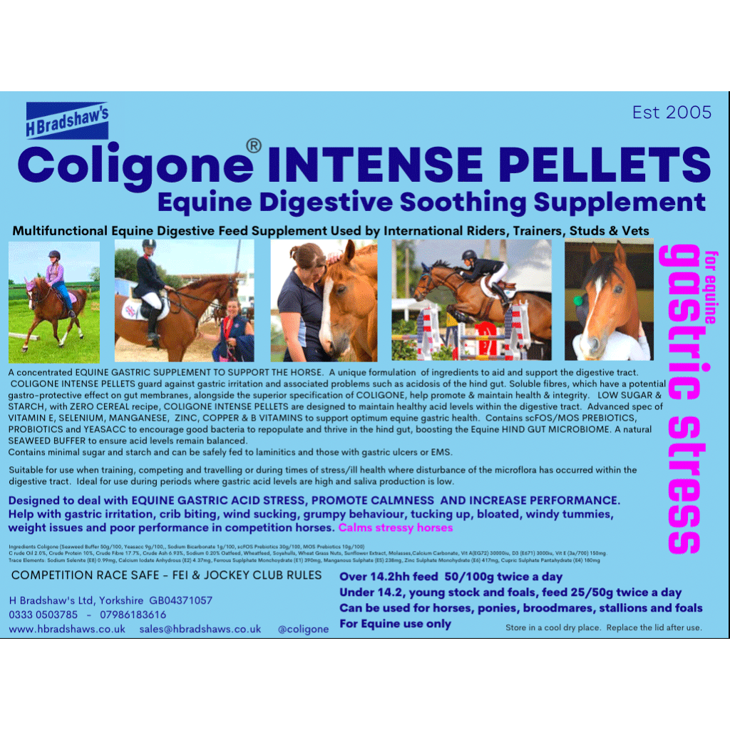H Bradshaws Coligone INTENSE PELLETS 6kg