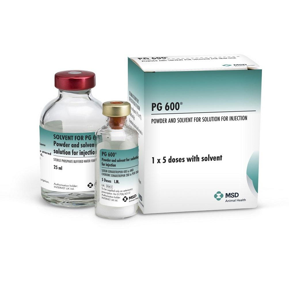 PG 600 Powder & Solvent for Injection