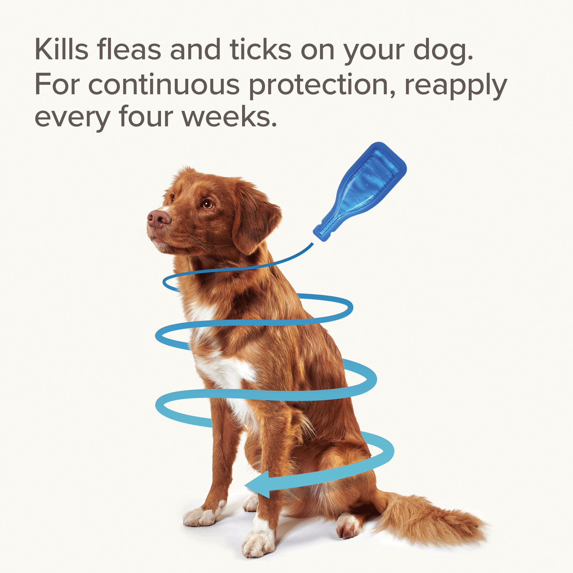 Beaphar FIPROtec Flea & Tick Spot On for Medium Dogs