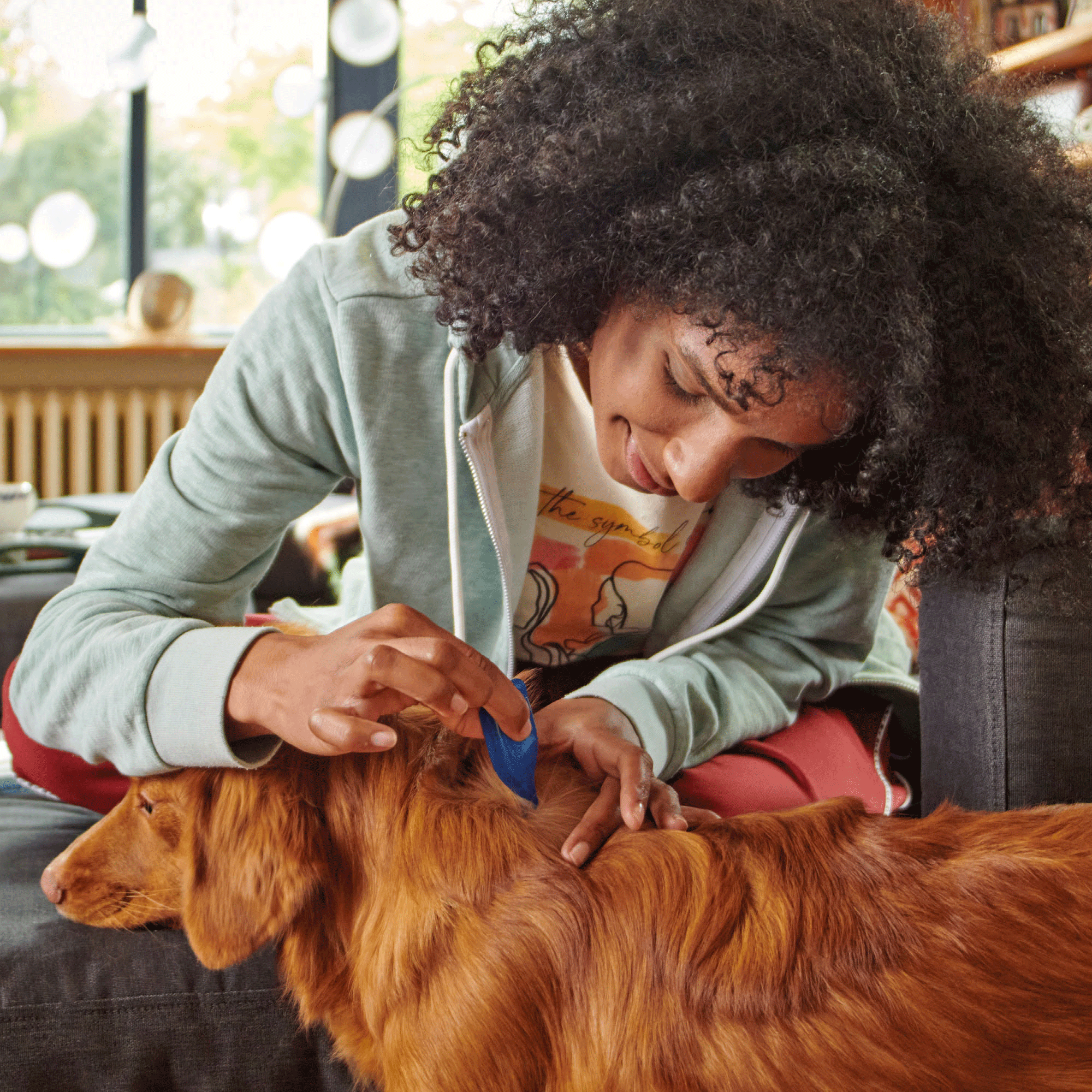 Beaphar FIPROtec Flea & Tick Spot On for Medium Dogs
