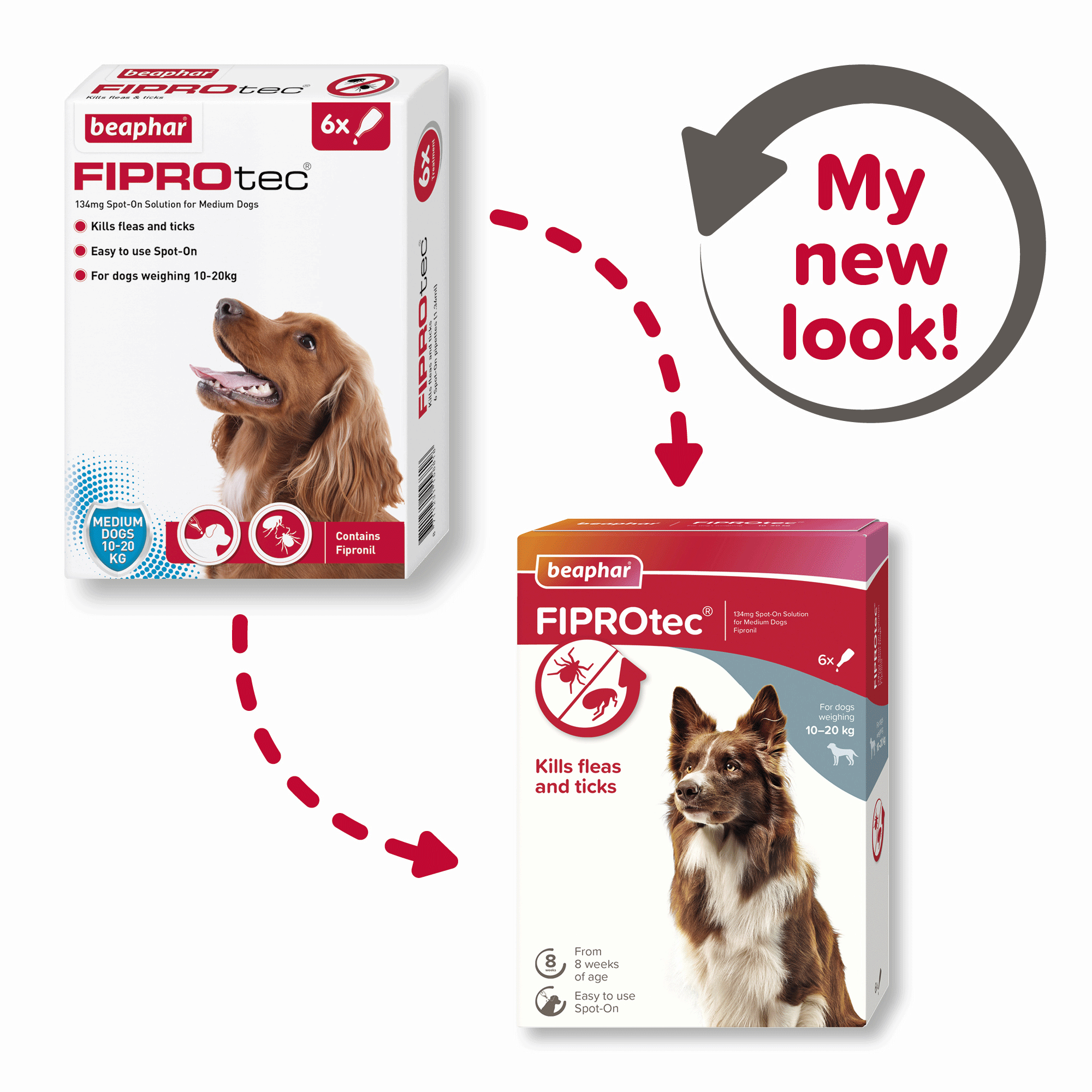 Beaphar FIPROtec Flea & Tick Spot On for Medium Dogs