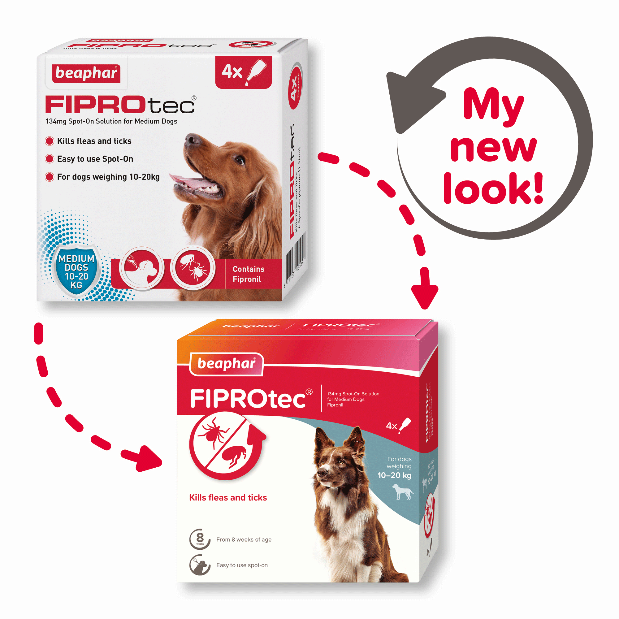 Beaphar FIPROtec Flea & Tick Spot On for Medium Dogs