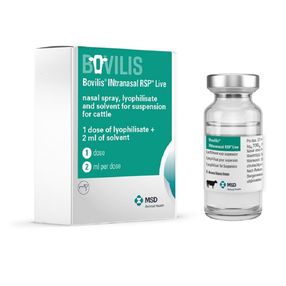 Bovilis INtranasal RSP Live, nasal spray