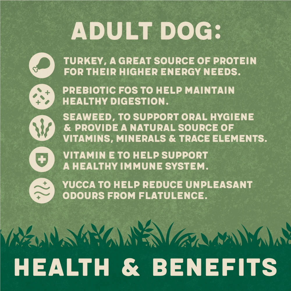 Harringtons Adult Dry Dog Food Rich in Turkey with Veg