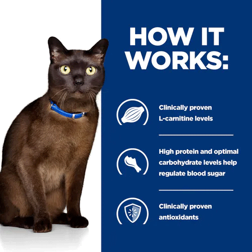 Hills Prescription Diet Feline m/d