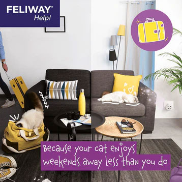 Feliway Help Diffuser