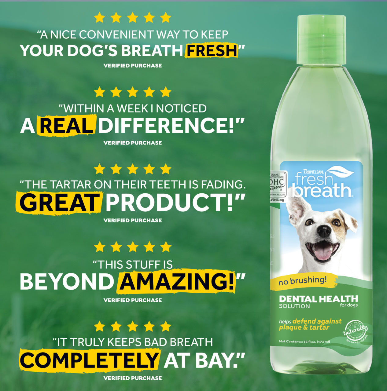 TropiClean Dental Care Solution For Dogs 473ml