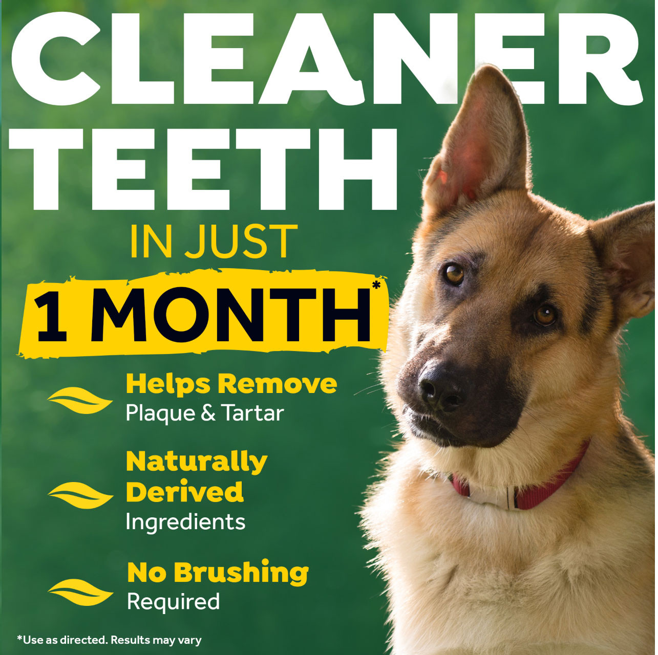 TropiClean Dental Care Solution For Dogs 473ml