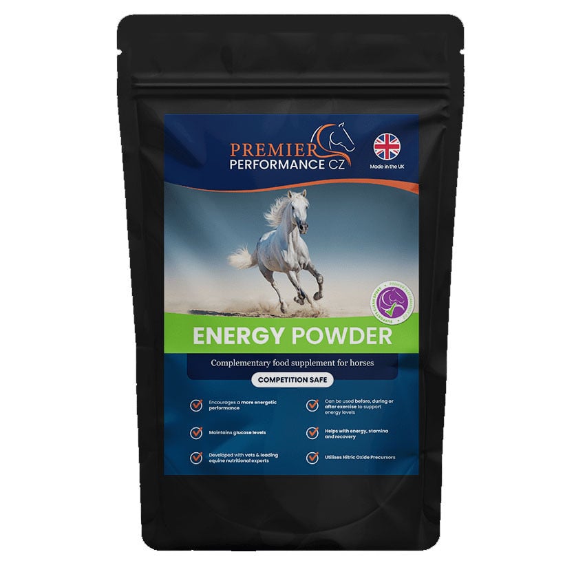 Premier Performance Energy Powder