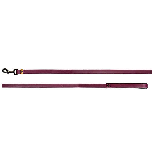 Sotnos Eco Dog Lead