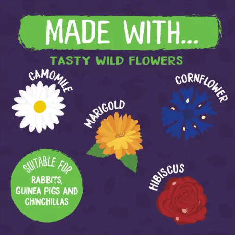 Burgess Excel Wildflower Forage Treats 75g
